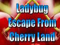 Gra Ladybug Escape From Cherry Land