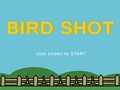 Gra Bird Shot