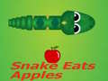 Gra Snake Eats Apple