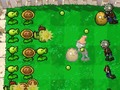 Gra Plants Vs Zombies DS