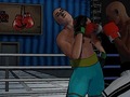 Gra Ultimate Boxing Showdown