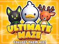 Gra Ultimate Maze! Collect Them All!