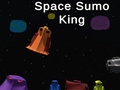 Gra Space Sumo King