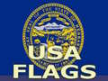 Gra Usa Flags 