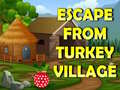 Gra Escape From Turkey Village