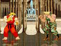 Gra Street Fighter 2 Flash