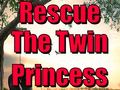 Gra Rescue The Twin Princess