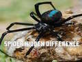 Gra Spider Hidden Difference