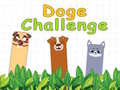 Gra Doge Challenge