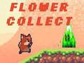 Gra Flower Collect