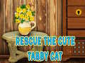 Gra Rescue The Cute Tabby Cat