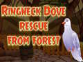 Gra Ringneck Dove Rescue From Forest