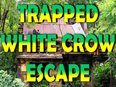 Gra Trapped White Crow Escape