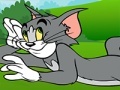 Gra Tom and Jerry ATV Adventure