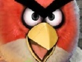 Gra Angry birds hidden stars