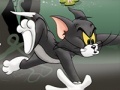 Gra Tom And Jerry Chase In Marsh