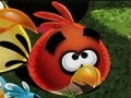 Gra Angry Birds Save