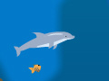 Gra Dolphin Olympics 2