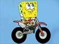 Gra Spongebob friendly race