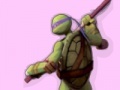 Gra Ninja Turtles Colours Memory
