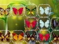 Gra Butterfly Connect