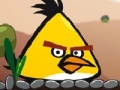 Gra Angry Bird Super Puzzle