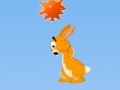 Gra Hopi: The Jumping Rabbit