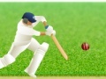 Gra Cricket Defend the Wicket!