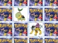 Gra Find your cards with your favorite Pokemon