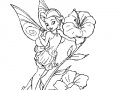 Gra Coloring Tinker Bell -1
