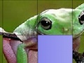 Gra Frog Slide Puzzle