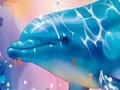 Gra Magic dolphins hidden numbers