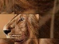 Gra Big brave lion slide puzzle