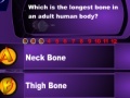 Gra Human Body Quizz Game
