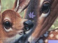 Gra Deers and Lovely Day Slide Puzzle