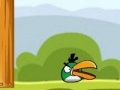 Gra Angry Birds drink water - 2