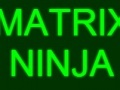 Gra Matrix Ninja