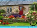 Gra Cottage garden hidden alphabet