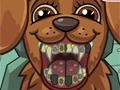 Gra Pet Crazy Dentist