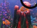 Gra Finding Nemo hide and seek