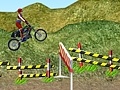 Gra Motorcycle Rally