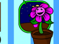 Gra My pocket plant 