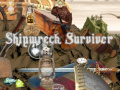 Gra Shipwreck Survivor