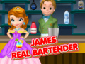 Gra James Real Bartender