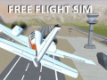 Gra Free Flight Sim