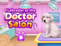 Gra Labrador at the doctor salon    