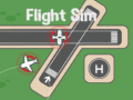 Gra Flight Sim