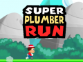Gra Super Plumber Run