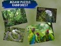 Gra Jigsaw Puzzle Rain Forest 