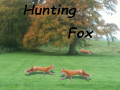 Gra Hunting Fox